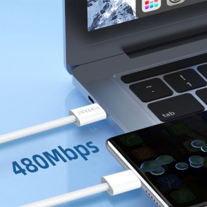 کابل شارژ USB-C به USB-C ارلدام مدل EC-196C-C طول 1 متر توان 60 وات