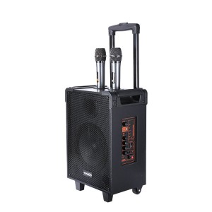 اسپیکر چمدانی 8 اینچ یسیدو Yesido Outdoor Speaker YSW15