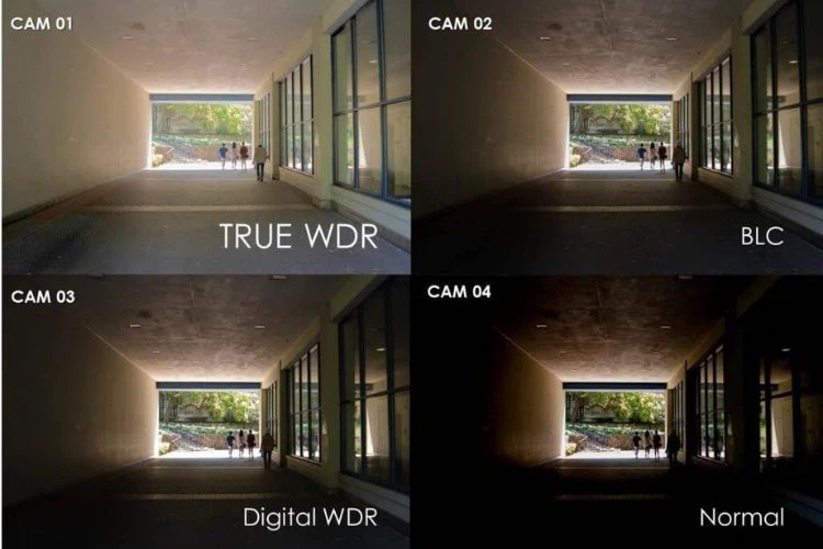 what is wdr and what is the difference with dwdr