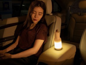 چراغ اضطراری قابل حمل خودرو بیسوس Starlit Night Car Emergency Light CRYJD01-A02