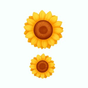 قلب سیلیکونی گل مارگاریت