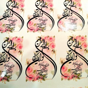 ترانسفر 461