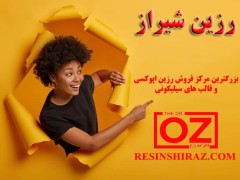 هنرهای پولساز خانگی