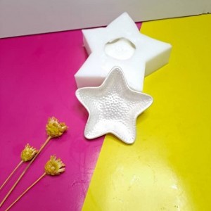 قالب سیلیکونی سنگ مصوعی( رزین)  ستاره دریایی