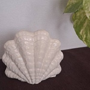 قالب سیلیکونی  صدف ایستاده( شمع . رزین . سنگ مصنوعی )