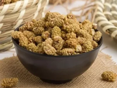 آیا توت خشک برای دیابتی ها مفید است ؟+ مقدار مصرف مجاز