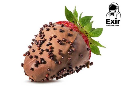 شوکوبری چیست؟ معرفی انواع شوکوبری در اکسیر به همراه خواص آن