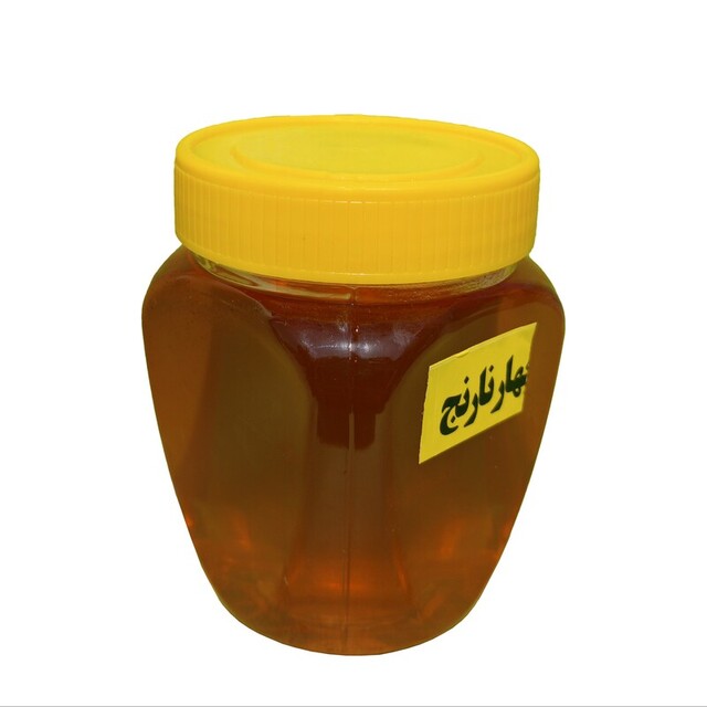 عسل بهارنارنج (500 گرم)