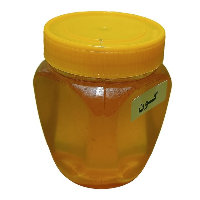 عسل طبیعی گون (500 گرم)