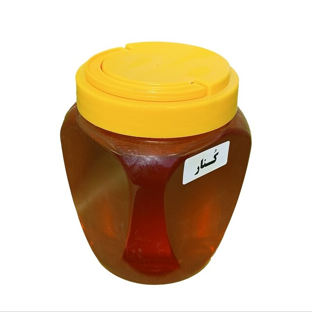 عسل کنار (1 کیلوگرم)
