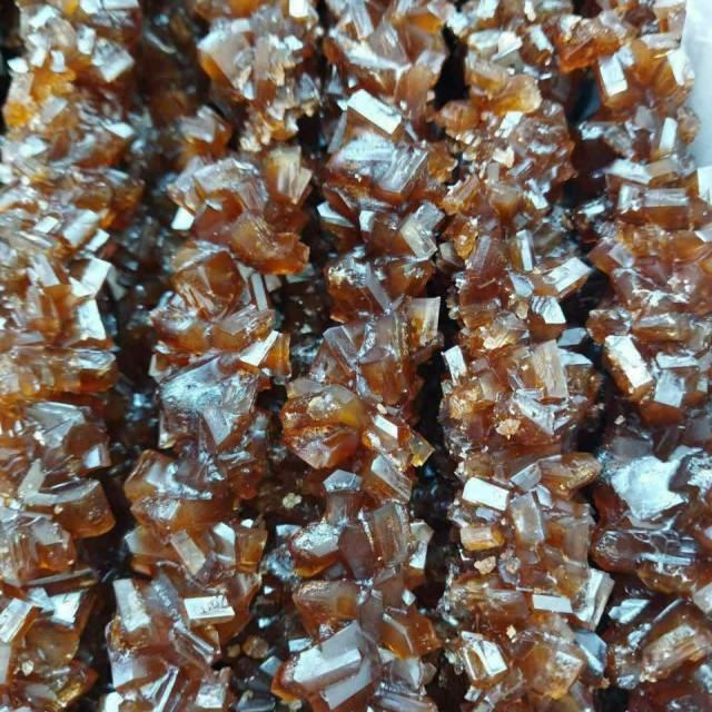 نبات قهوه ای نیشکری شاخه  (2.5 کیلوگرم)