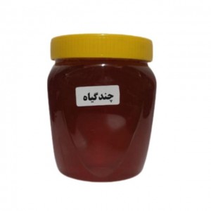 عسل طبیعی چندگیاه (500 گرم)
