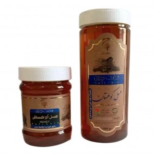 عسل کوهستان موسسه حجامت (500 گرم)