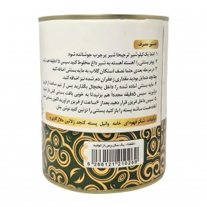 پودر بستنی خامه پسته ریان (220 گرم)