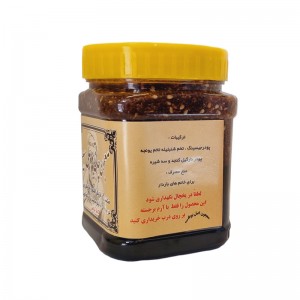معجون چاقی بوعلی سینا (500 گرم)