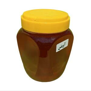 عسل آویشن (500 گرم)
