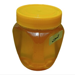 عسل طبیعی گون (500 گرم)
