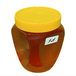 عسل طبیعی گون گز (1 کیلوگرم)