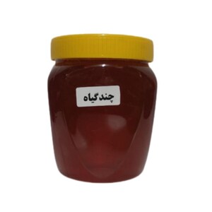 عسل طبیعی چندگیاه (1 کیلوگرم)