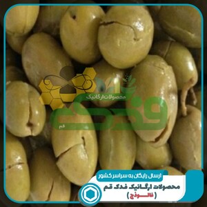زیتون تلخ شکسته طارم (500 گرم آبکش)