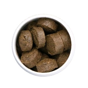 تین فیل غدیر