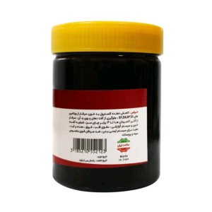 رب انار رقیق - سس انار (نیم کیلوگرم)