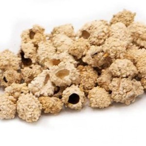شکرتیغال (20 گرم)