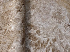 آلبوم تكسچرtexture1/1کد ۲۰۲۰۹۹