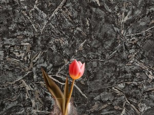 آلبوم تكسچر(1) 202109