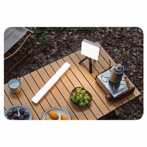 پرژکتور کمپینگ نیچرهایک | CNK2450ZM011