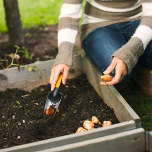 بیلچه باغبانی فیسکارس