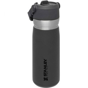 فلاسک 650 استنلی