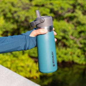 stanley FLIP STRAW 650 L