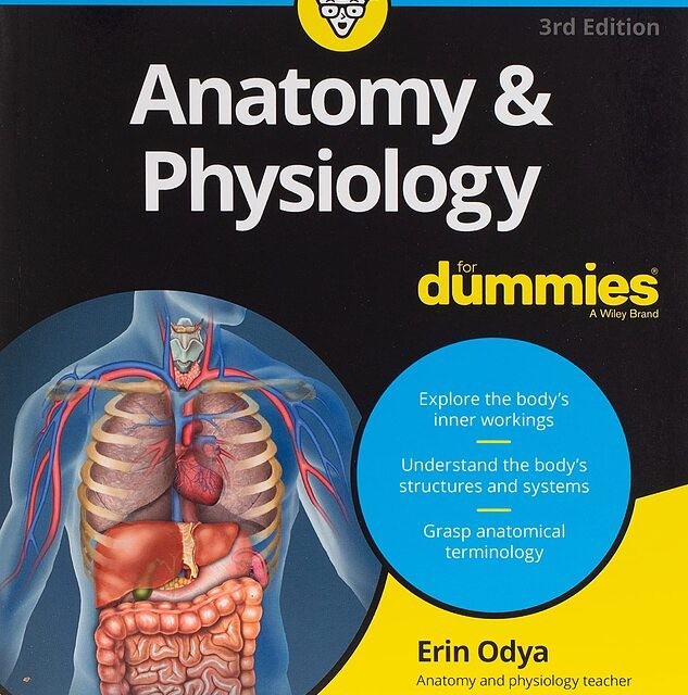 خرید کتاب Starting a Business All in One For Dummies
