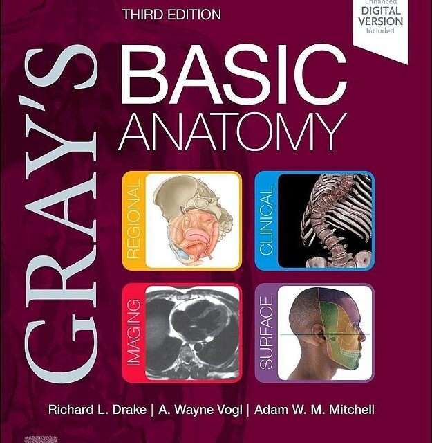 خرید کتاب Anatomy and Physiology For Dummies کتاب آناتومی و فیزیولوژی به زبان آدمیزاد