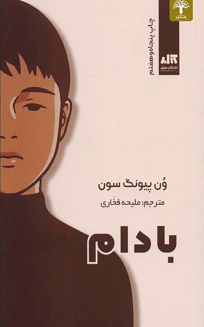 کتاب پیرزنی با چاقو اثر گو بیونگ مو نشر دانش آفرین - رمان The Old Woman with the Knife ترجمه فارسی