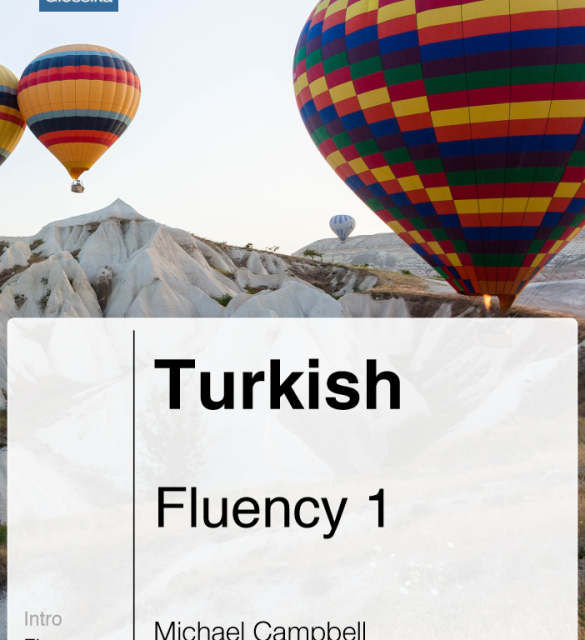 کتاب راهنمای استانبول دو جلدی Istanbul A1 &amp; A2 تالیف اشرف شبانی