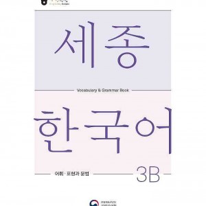 کتاب کره ای لغات و گرامر سجونگ سه دو Sejong Korean 3B Vocabulary and Grammar Book 2022 Edition