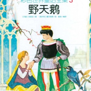 خرید داستان چینی تصویری 野天鹅 به همراه پین یین