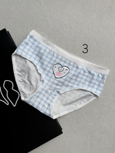slip panty