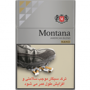 مونتانا نانو نقره ای