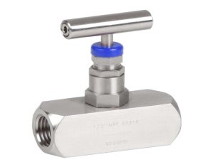 شیر سوزنی استیل 316 سایز 1/2 اینچ دنده 6000psi