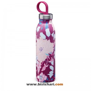 قمقمه دو جداره 550 ml مدل Chilled thermavac برند علادین Aladdin