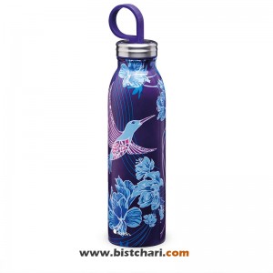 قمقمه دو جداره 550 ml مدل Chilled thermavac برند علادین Aladdin