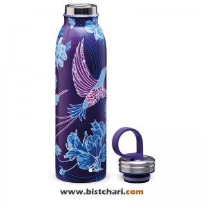 قمقمه دو جداره 550 ml مدل Chilled thermavac برند علادین Aladdin