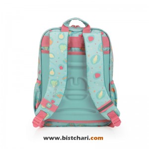 کوله پشتی مدرسه مدل Picnic سایز 29 برند گابل Gabol کد 232402045