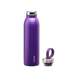 فلاسک دوجداره 550ml مدل Chilled Thermavac برند علادین Aladdin