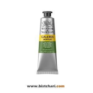 رنگ اکریلیک Sap green کد 599 برند وینزور و نیوتون Winsor & Newton
