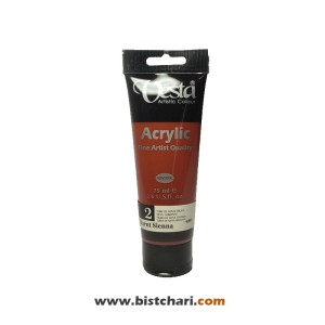 رنگ اکریلیک Burnt sienna کد 2 حجم 75 ml برند وستا Vesta