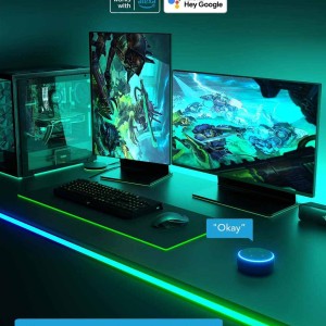 خرید  ریسه مخصوص میز Govee RGBIC Neon Rope Lights for Desks 3M